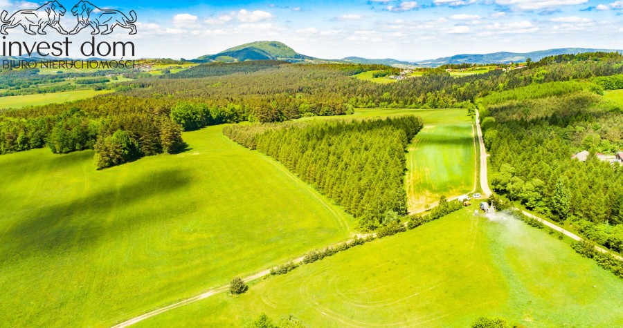 gorlicki, Uście Gorlickie, Brunary, małopolskie, Dojrzewający drzewostan na wzniesieniach sołectwa Brunary!