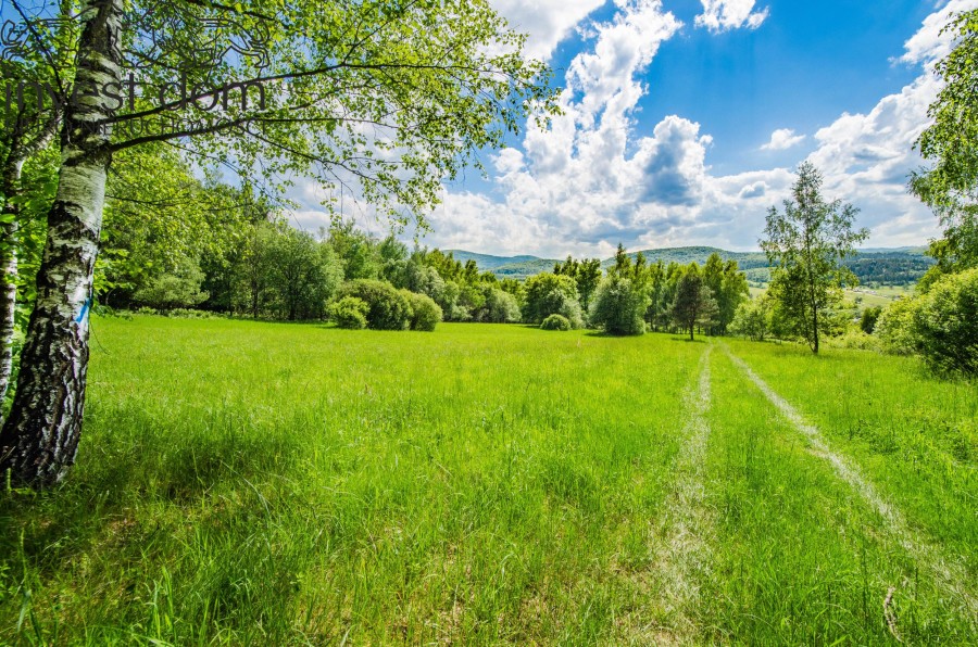 gorlicki, Uście Gorlickie, Wysowa-Zdrój, małopolskie, .działki, które zachwycają w Beskidzie Niskim!