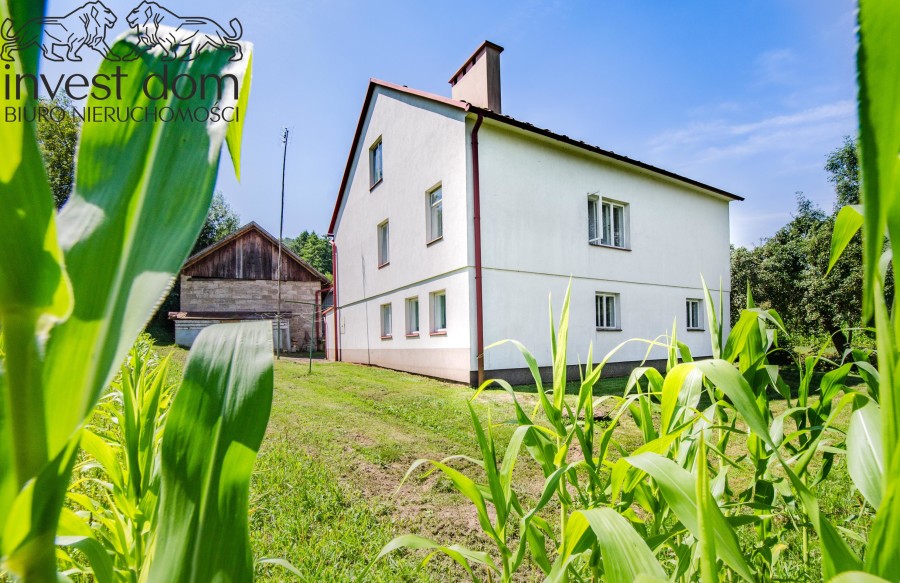 strzyżowski, Wiśniowa, Jazowa, podkarpackie, ..siedlisko u stóp rezerwatu przyrody w Jazowa!